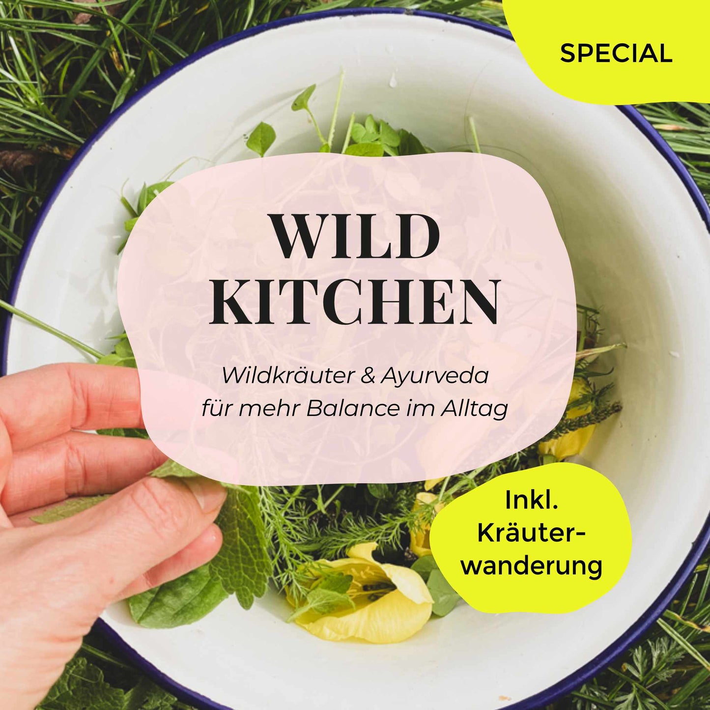 03.09.2026 – Wild Kitchen Ayurveda Kräuter Kochkurs | SPECIAL